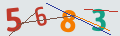 verifycode